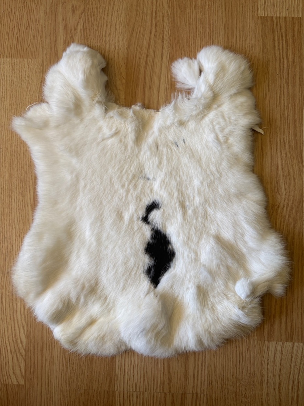 B0007 rabbit pelt